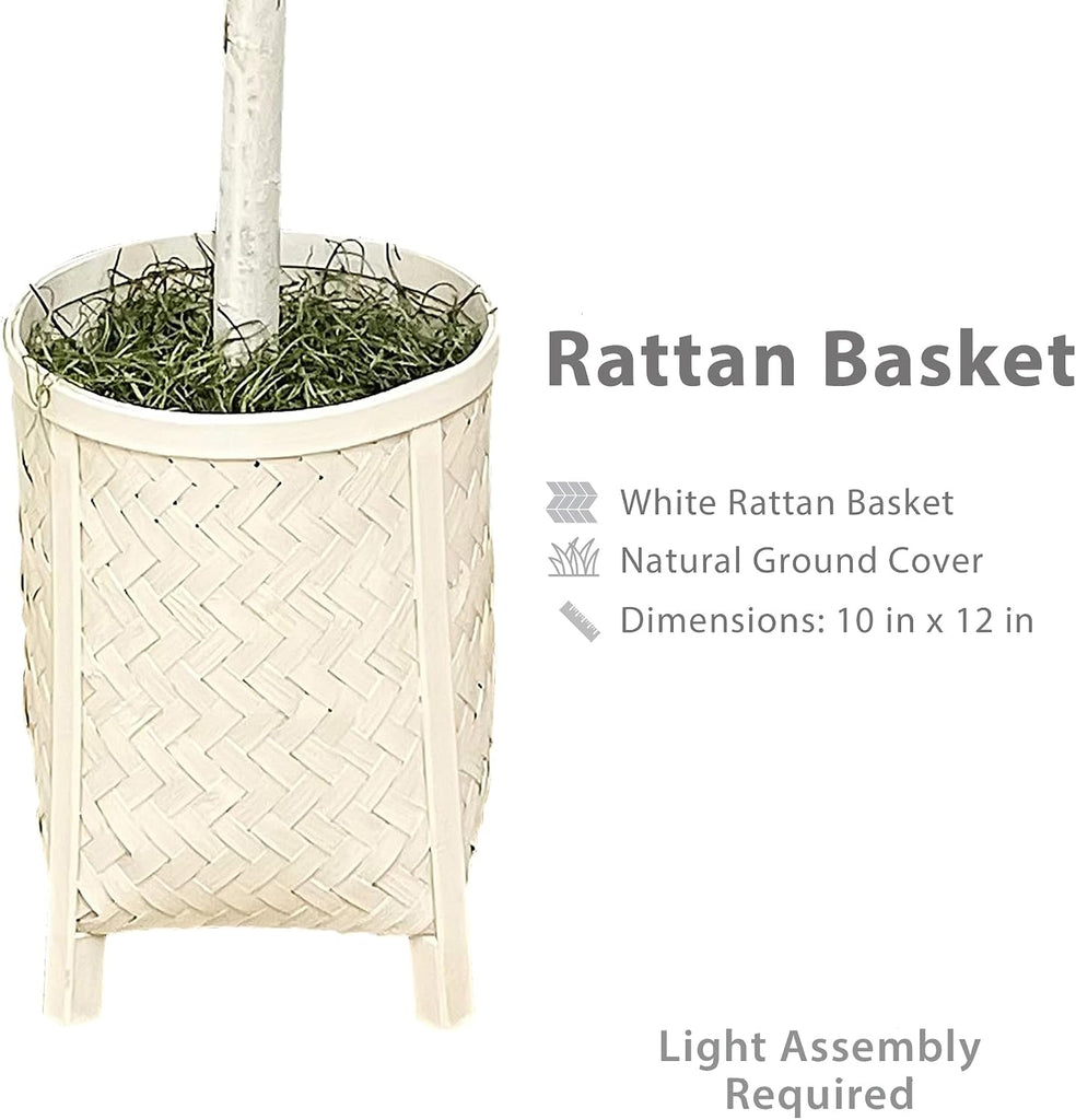 6ft White Faux Ficus Tree - Real Wood Trunk, No Maintenance Indoor Artificial Plant in White Rattan Basket - Living