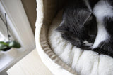 Cat Bed for Indoor Cat, Domed Tent House with Removable Pillow, Covered Cat Cave for Small Dog