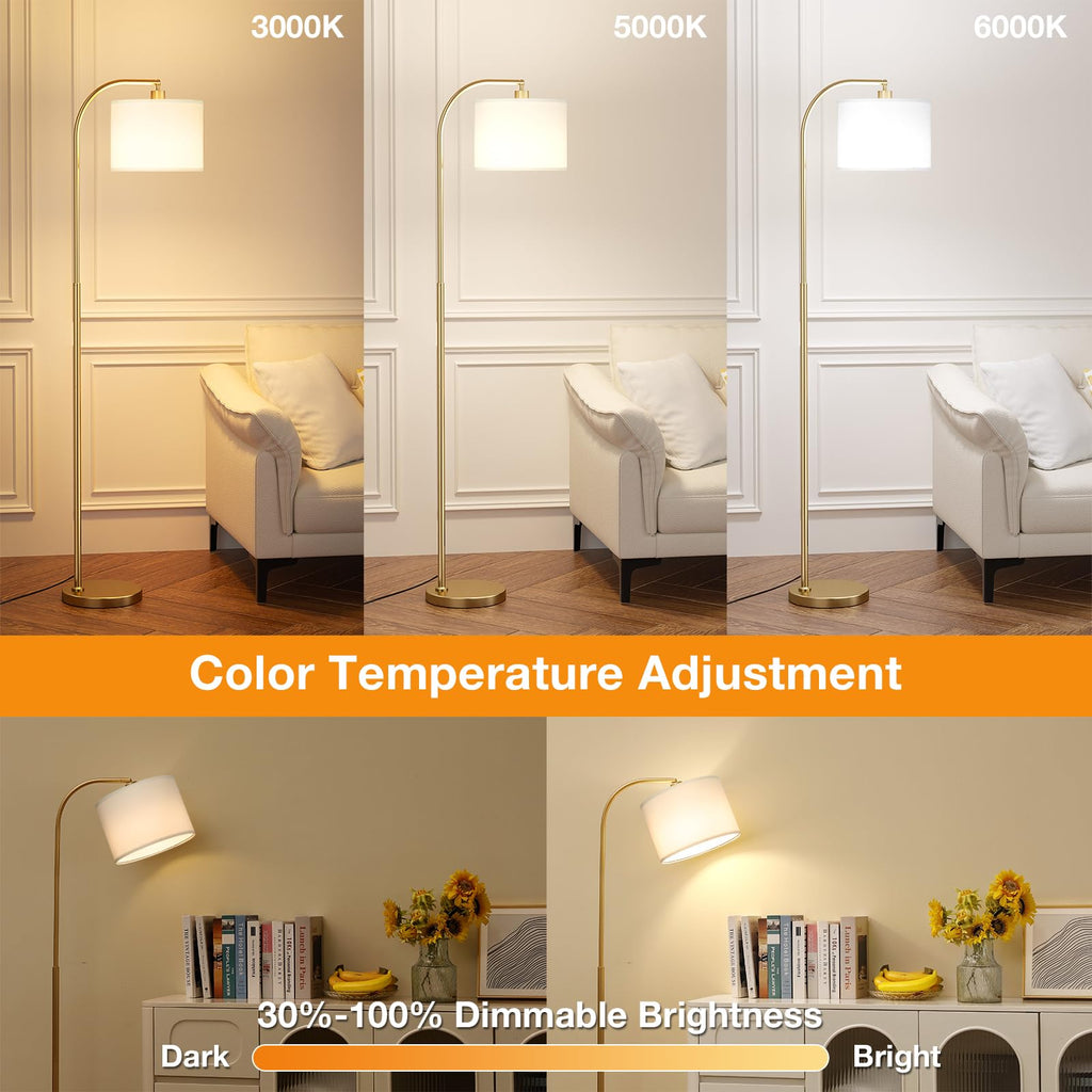 Arc Floor Lamp with Remote and Stepless Dimmable Bulb, Colors Temperature & Brightness Adjustable, Floor Lamps (White