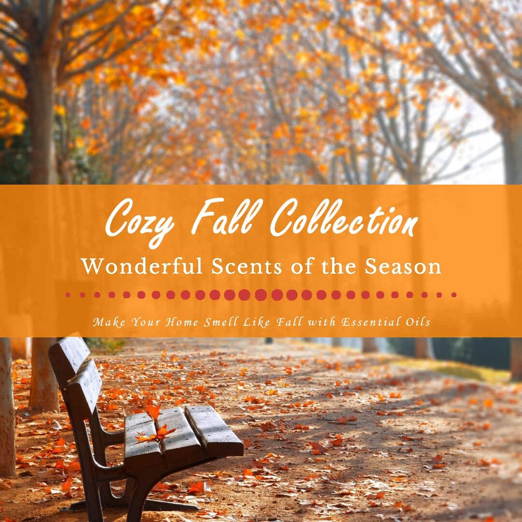 Fall Fragrance Oils Set, Autumn Essential Oil for Diffuser, Candle Making, Aromatherapy Oils Gift - Cinnamon, Pumpkin - Set of 2