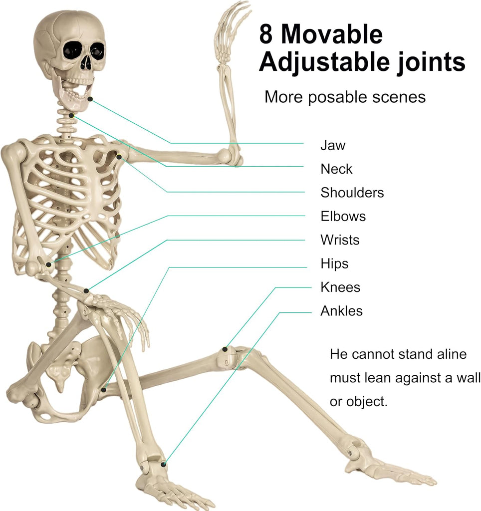 5.4ft/165cm Life Size Skeleton for Halloween Decorations Outdoor/Indoor,Poseable Halloween Giant Skeletons-Full Body