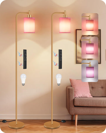 Dimmable Floor Lamp with Remote & 10W Bulb