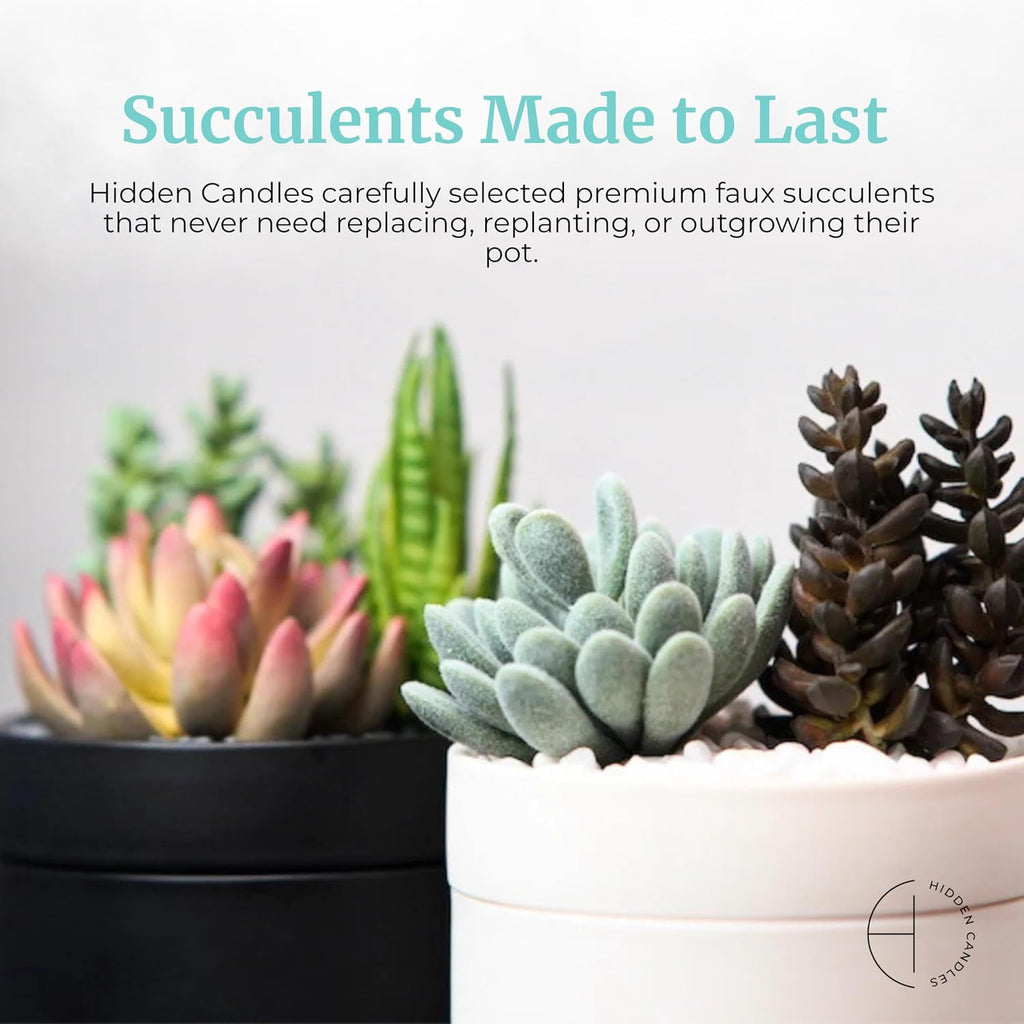Hidden Candle - Beach Bungalow | Marine, Bergamot & Cedarwood Scented Candle with Faux Succulent | 10.6oz Soy Wax - Set of 106