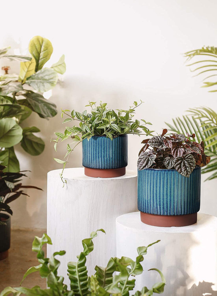 Ceramic Plant Pots with Drainage Holes, Set of 3, 8+6.7+5.5 Inch Stripe Garden Planter Pots for Outdoor Indoor Plants