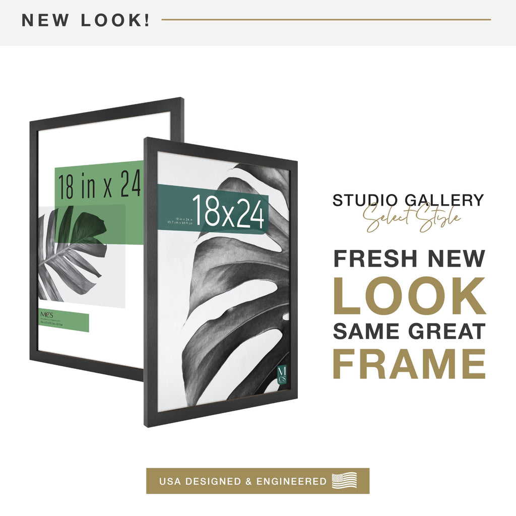 Studio Gallery Poster Frame, 18x24, Black Woodgrain, 2-Pack