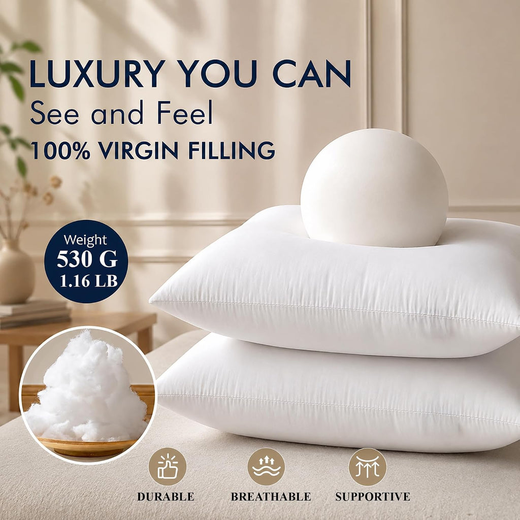 White Throw Pillow Insert - 20 x 20 Inch Down Alternative Pillows for Bed, Sofa and Couch - Fluffy - Set of 4