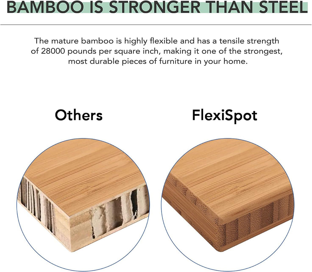 E6 Bamboo 3-Stage Dual Motor Electric Standing Desk 55 x 28 Sit Stand Up Desk, Holds 220 lbs, Adjustable Height w/