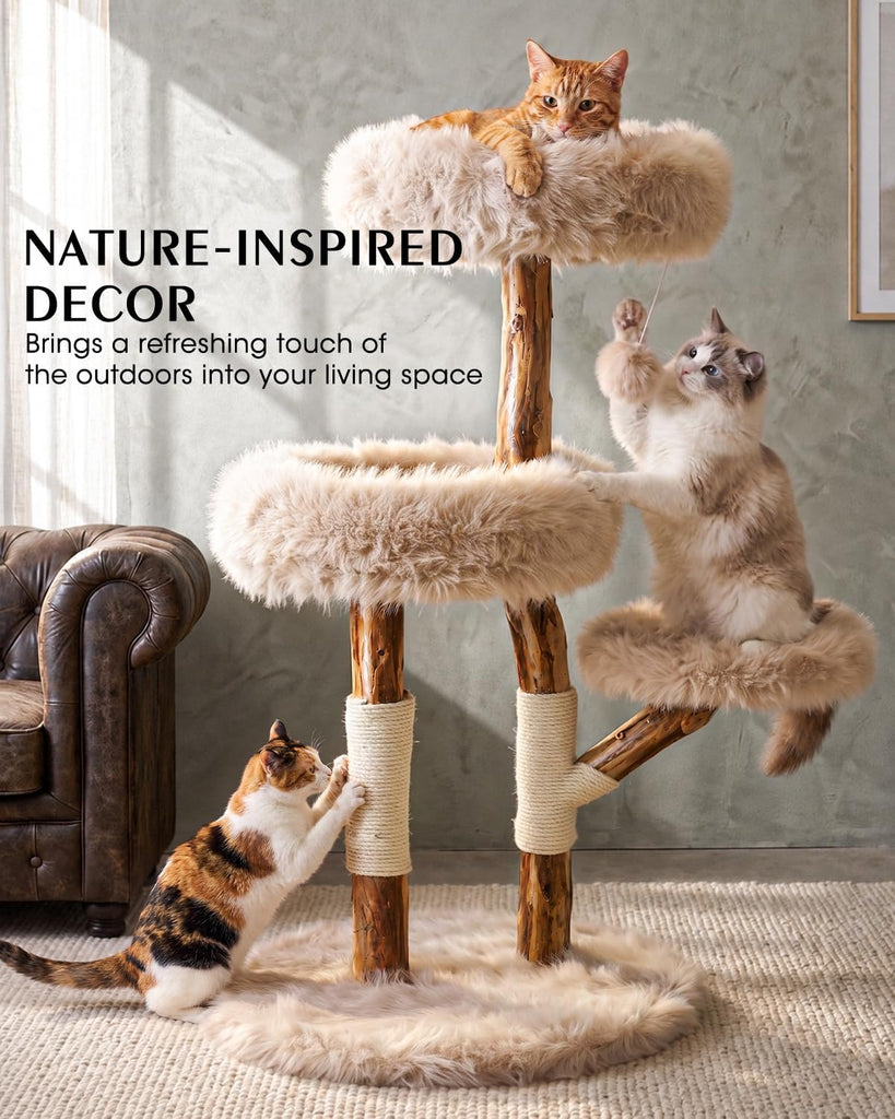 Solid Wood Cat Tree, Boho Modern Cat Tree Tower with Real Branch