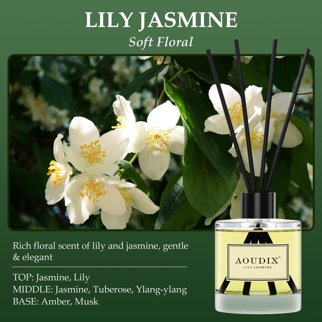 Reed Diffuser Set of 3, 50 ml Lily Jasmine/Eucalyptus Mint/Ocean
