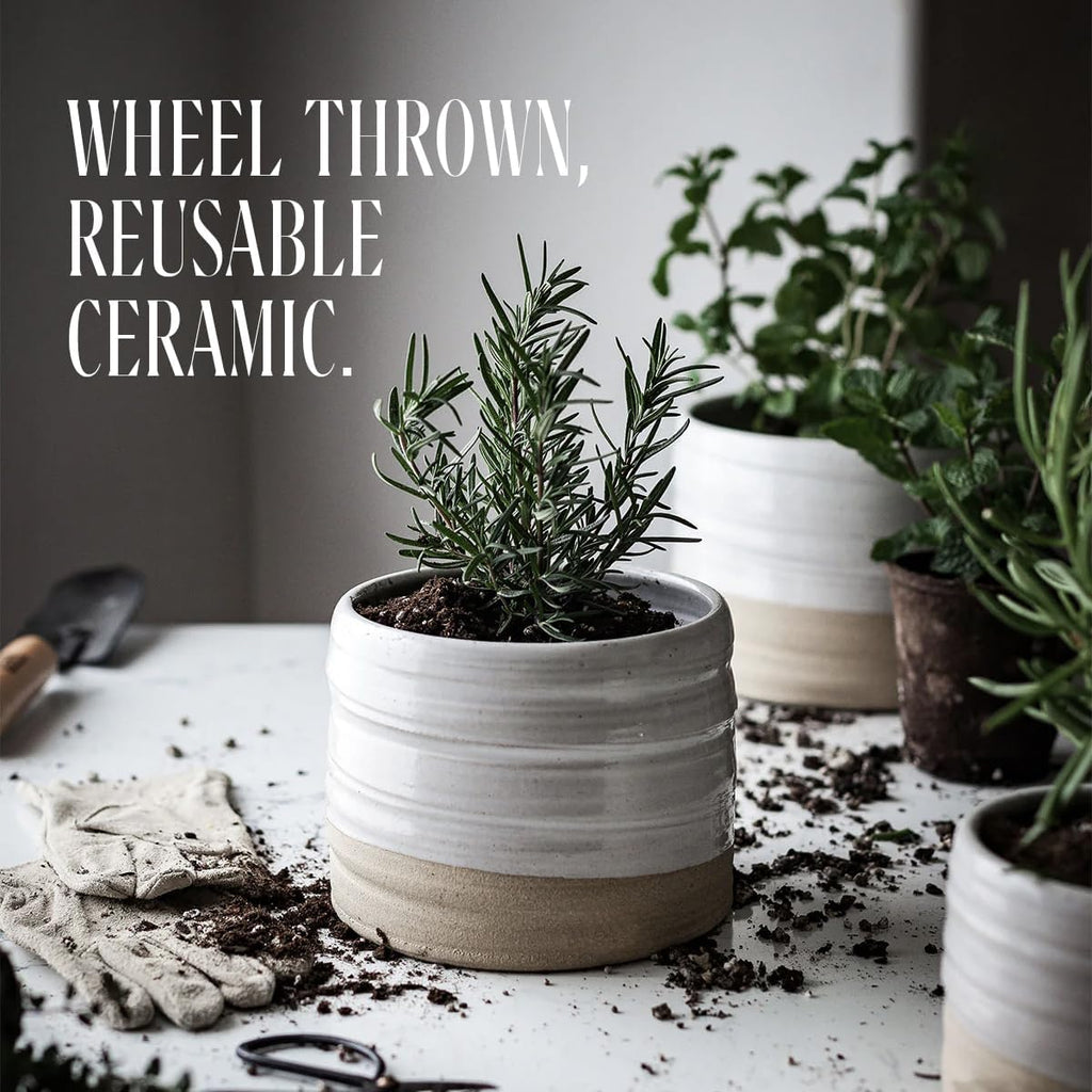 AIR/AIR Candle - Grapefruit, Solar Notes, Vetiver & Musk | Wheel Thrown Reusable Ceramic Vessel | Hand-Poured - Set of 12