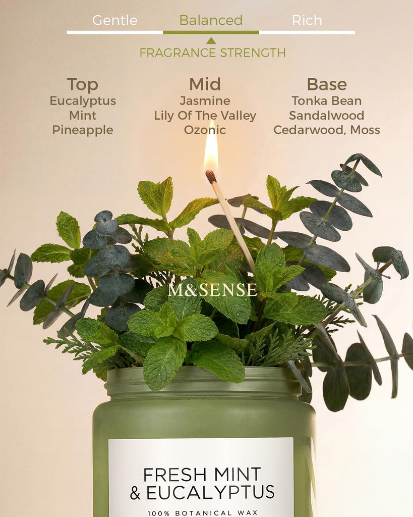 Eucalyptus & Mint Scented Jar Candle, Large 19.4oz Natural Soy Wax