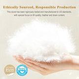 Organic Feather Down Comforter Full, Luxury Extra-Fluffy Duvet Insert
