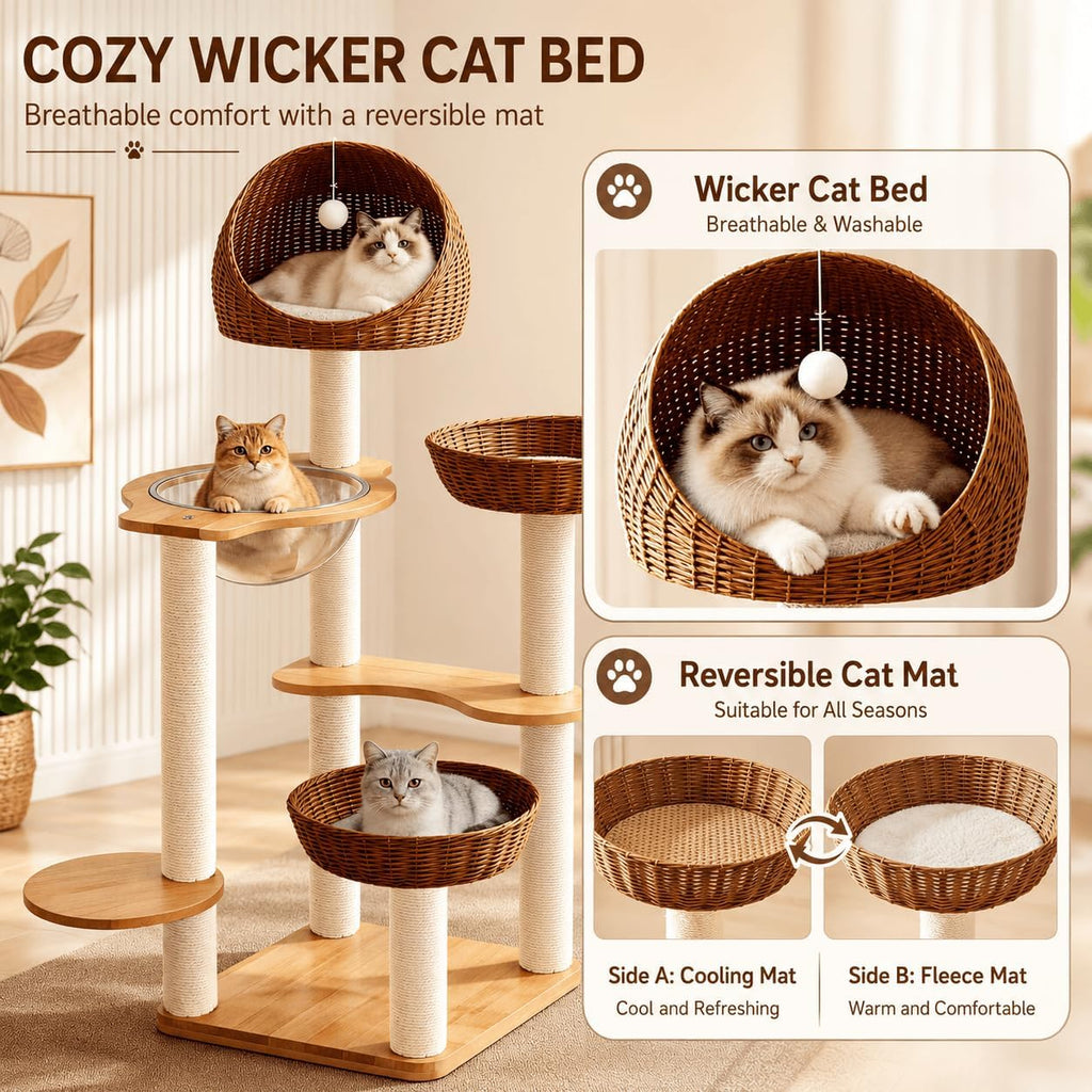 50in Solid Wood Cat Tree for Indoor Cats with Wicker Beds