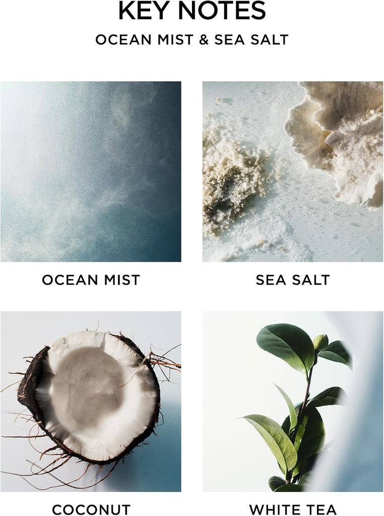 Reed Diffuser, Ocean Mist & Sea Salt - 5.9 fl oz - Fragrance for Up to 90 Days - Reusable, Refillable Glass Holder - Set of 59