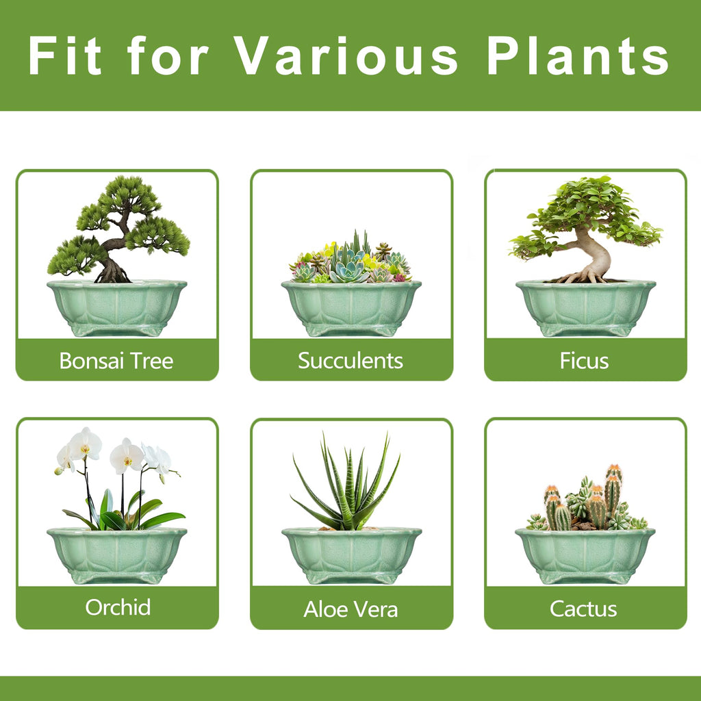 Bonsai Tree Pot - 13.2 Inch Large Ceramic Succulent Planter for Indoor Outdoor, Oval Plant Pot with Drainage Hole