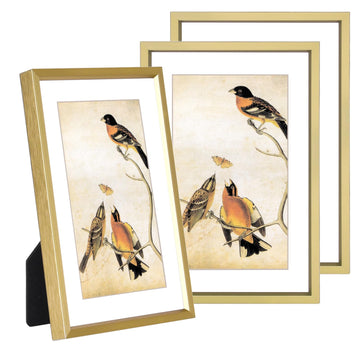 5x7 Brass Metal Photo Frame HD Glass 3 Pack 4x6 Mat Tabletop & Wall