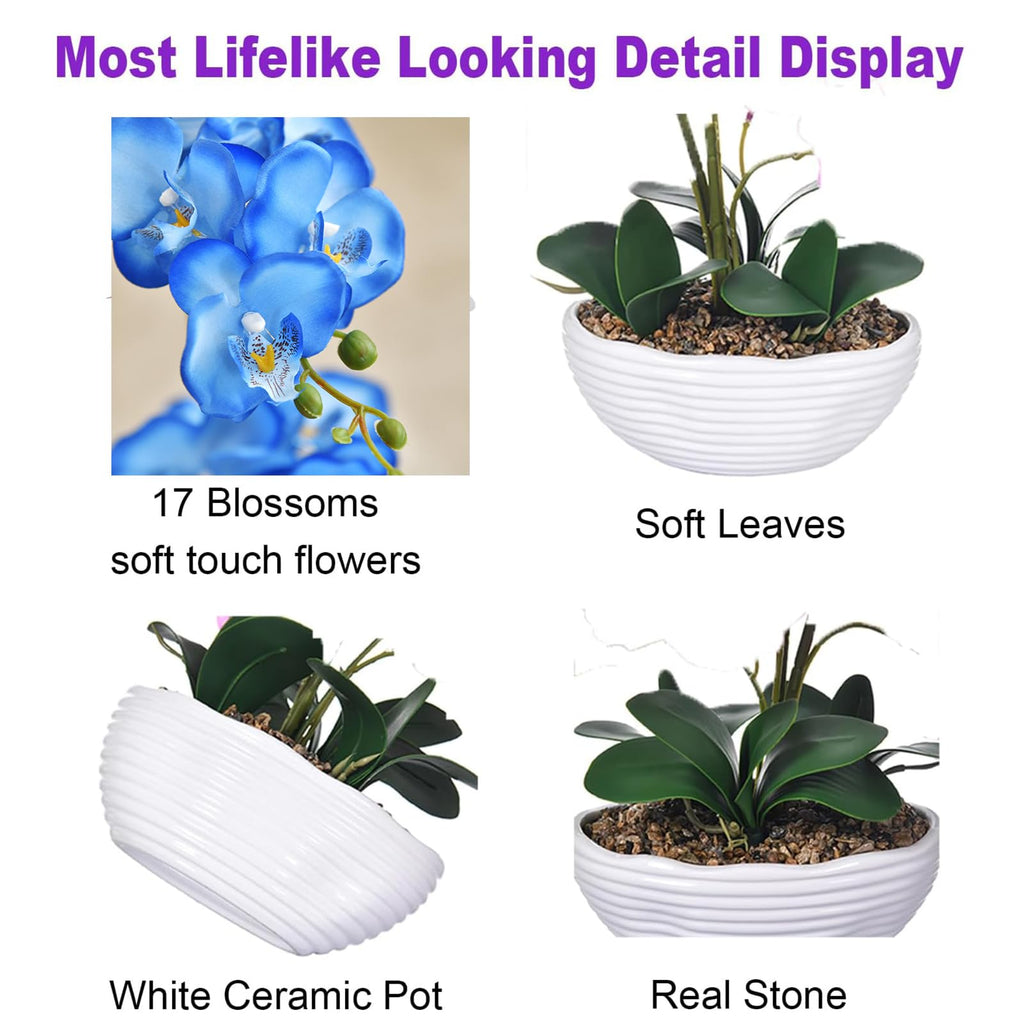 Large Silk Orchid in Wave Pot 19" Phalaenopsis Centerpiece for Table, Blue