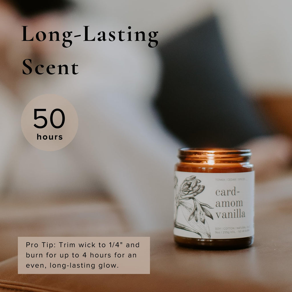 Top Cardamom Vanilla Soy Candle, Tonka Cedar Spices, 9 oz