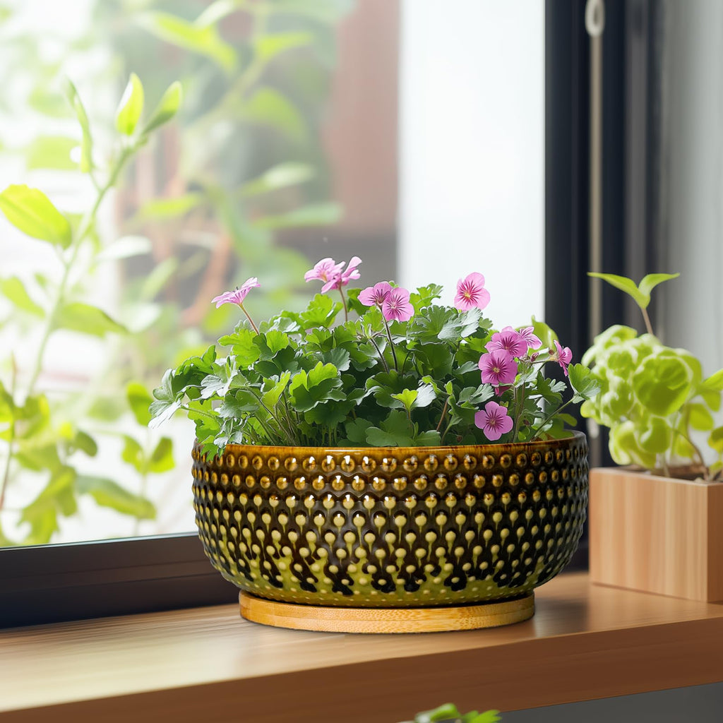 Bonsai Pots 8 Inch - Ceramic Planter for Indoor Plants, Succulent Pots with Drainage Hole and Plant Tray, Modern