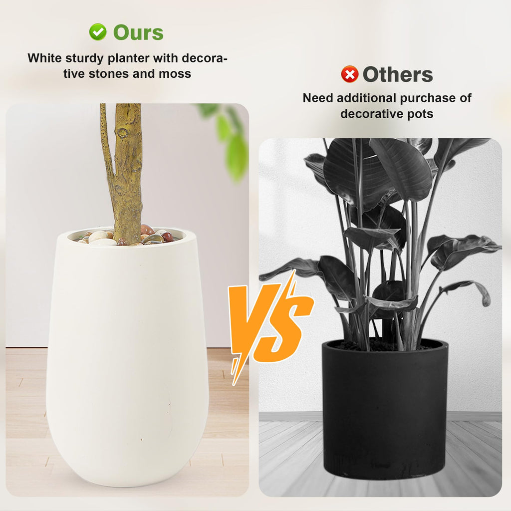 6.5FT Artificial Ficus Tree with White Planter, Moss and Pebbles