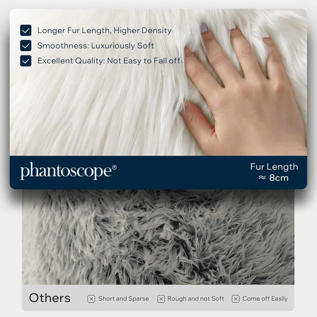 Pack of 2 Faux Fur Solid Throw Decorative Pillow Cover Cushion Covers Luxury Soft Decorative Pillowcase Fuzzy Pillow