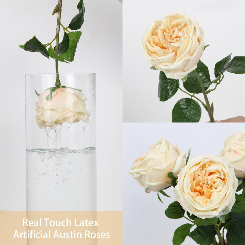 5PCS Real Touch Austin Roses Champagne Flowers Peony Artificial Flowers Fake Roses with Stems for Wedding Bouquet