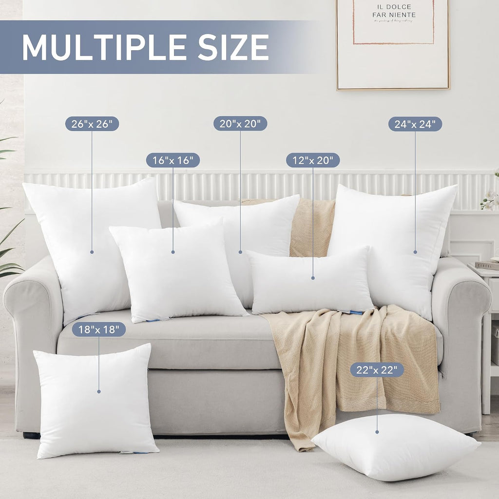 22x22 Throw Pillow Inserts, Pillow Forms for Couch - Set of 2