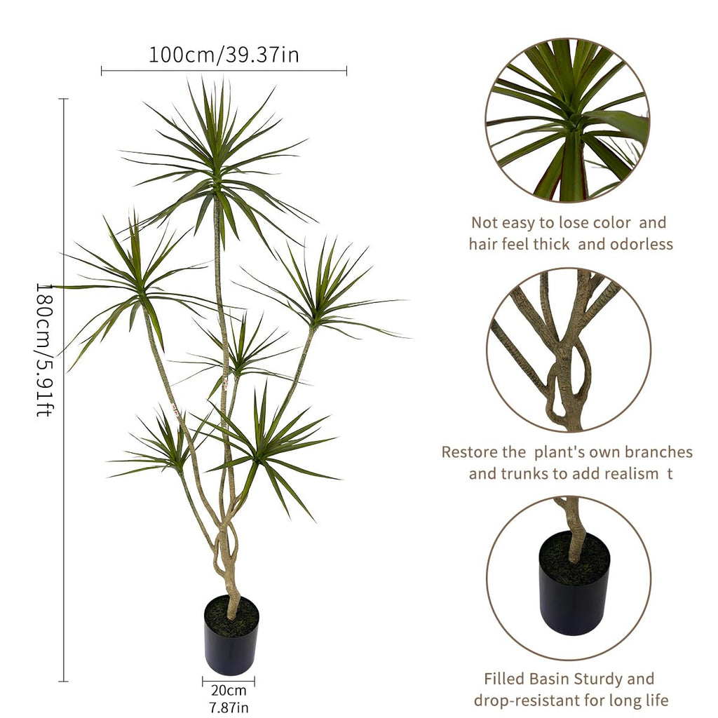 Artificial Dracaena marginata Plant 6ft Tall Indoor Tree。