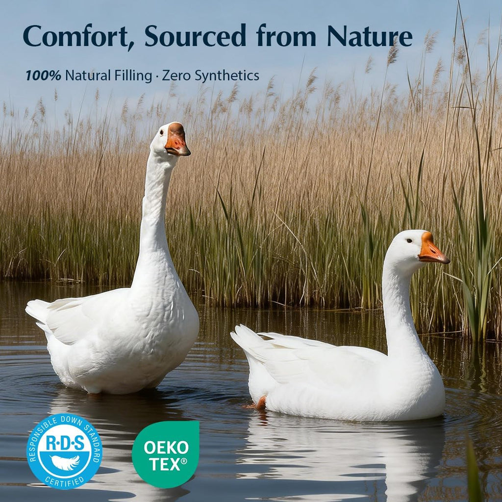 Premium Goose Down Fiber Comforter Queen, 420TC 100% Australian Cotton Shell