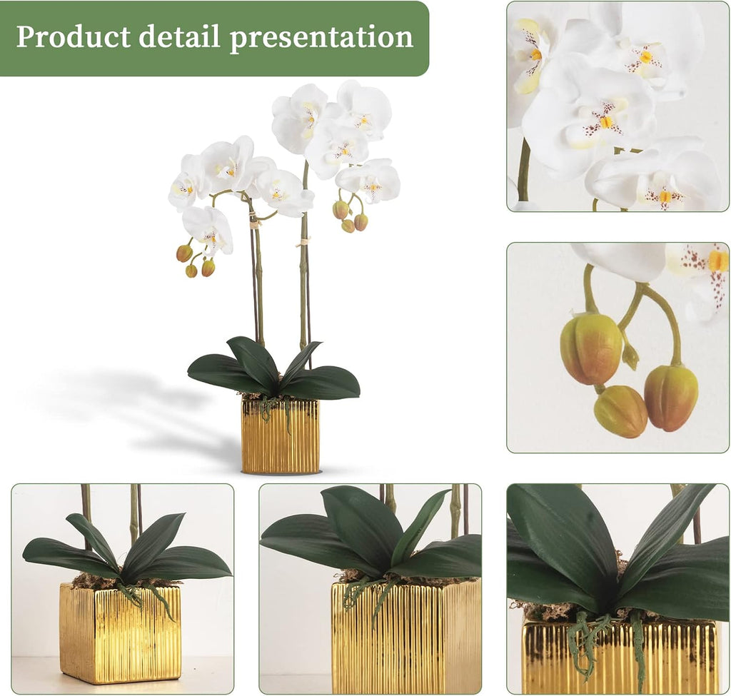 Artificial Orchid Flowers Potted in Ceramic Pot, White Faux Phalaenopsis Orchids for Table Centerpiece, Realistic