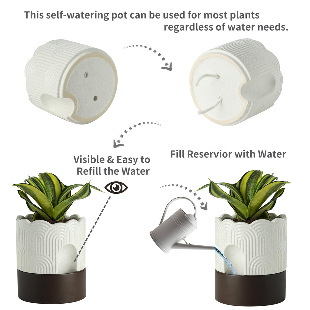 Self Watering Plant Pot Set: 6 Inch & 8 Inch Ceramic Planter with Drainage Hole & Water Storage Plus - Relief Design