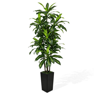 7FT Artificial Dracaena Tree with Tall Black Planter - Large Fake Tree with Lifelike Leaves - Tall Faux Floor Plants