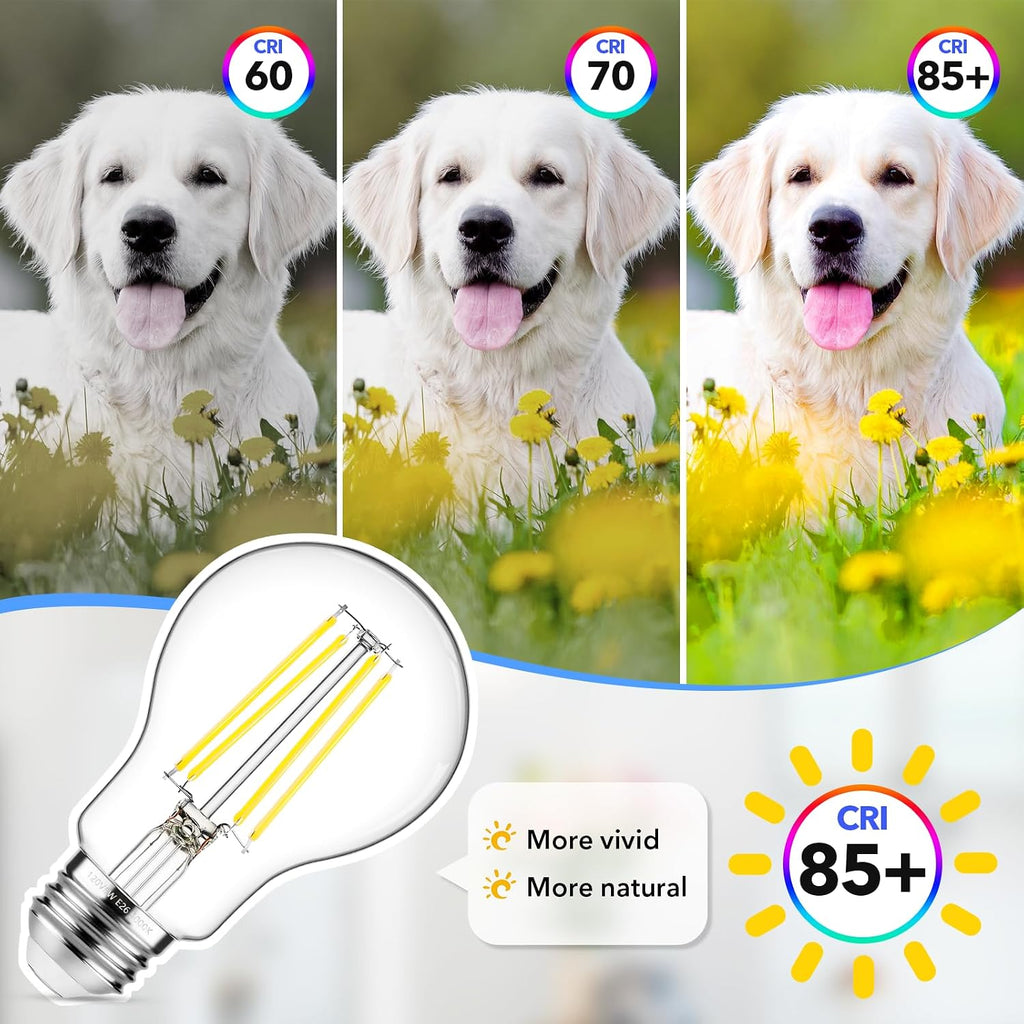 60W Equivalent E26 LED Filament Light Bulbs, 850LM Daylight White 5000K LED Edison Bulb, Non-Dimmable 6W A19 LED Bulb