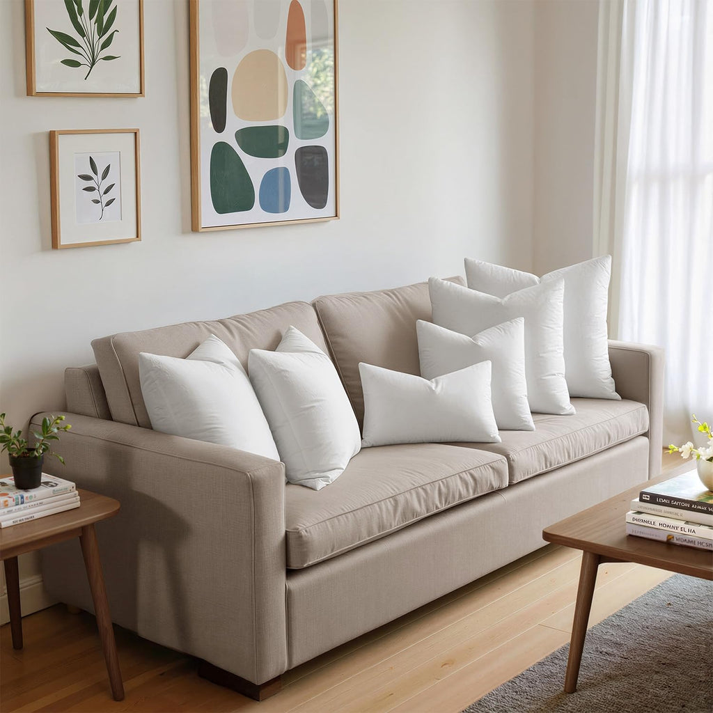 22x22 Pillow Inserts, Premium Feather and Down Pillows - Set of 4