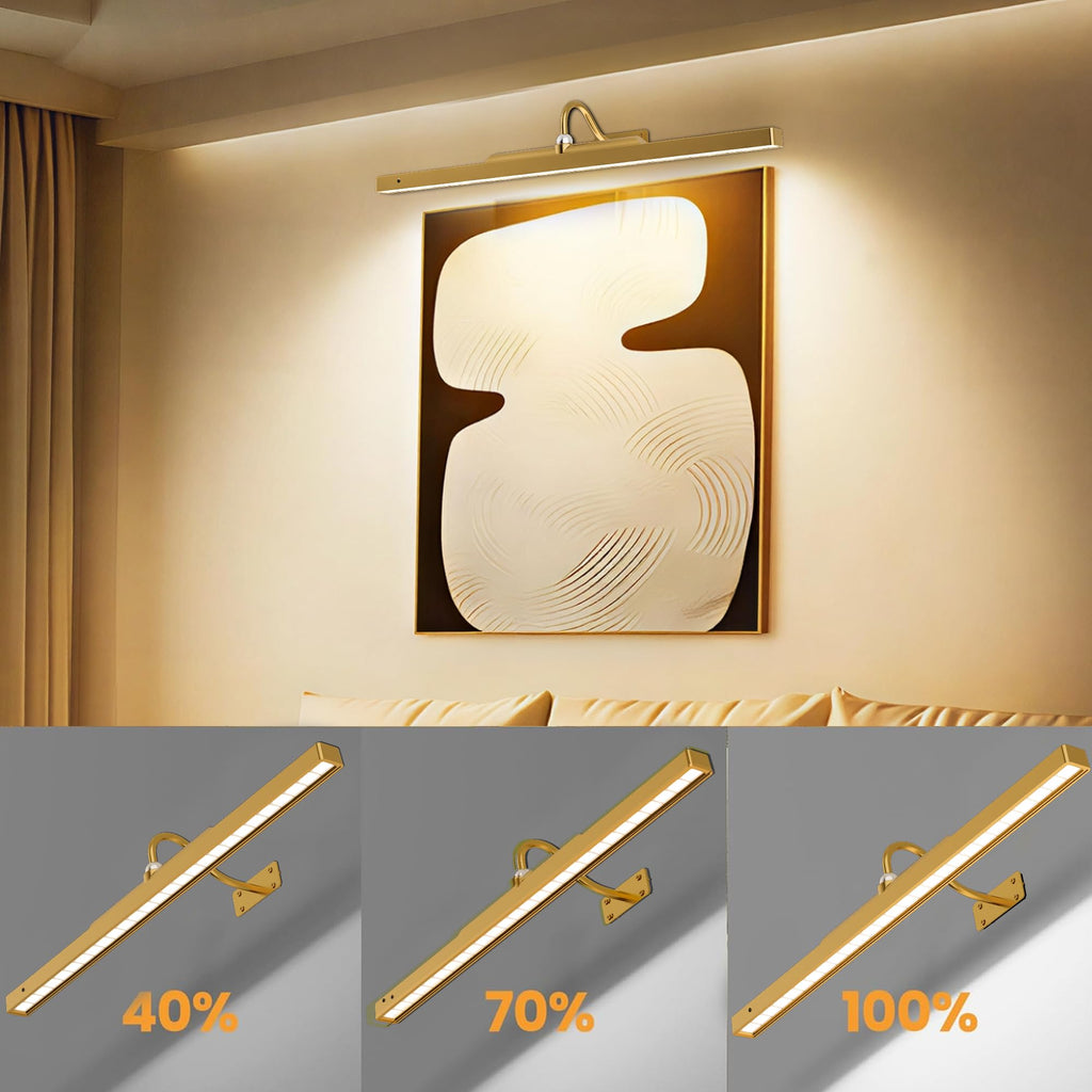 24 Inch Picture Light for Wall - Battery Operated Wireless Wall Sconce with Remote & Timer for Artwork, Portrait