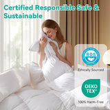 Queen Goose Feather Down Fiber Comforter - Ultral Soft All-Season Down Duvet Insert Fluffy Baffle Bo