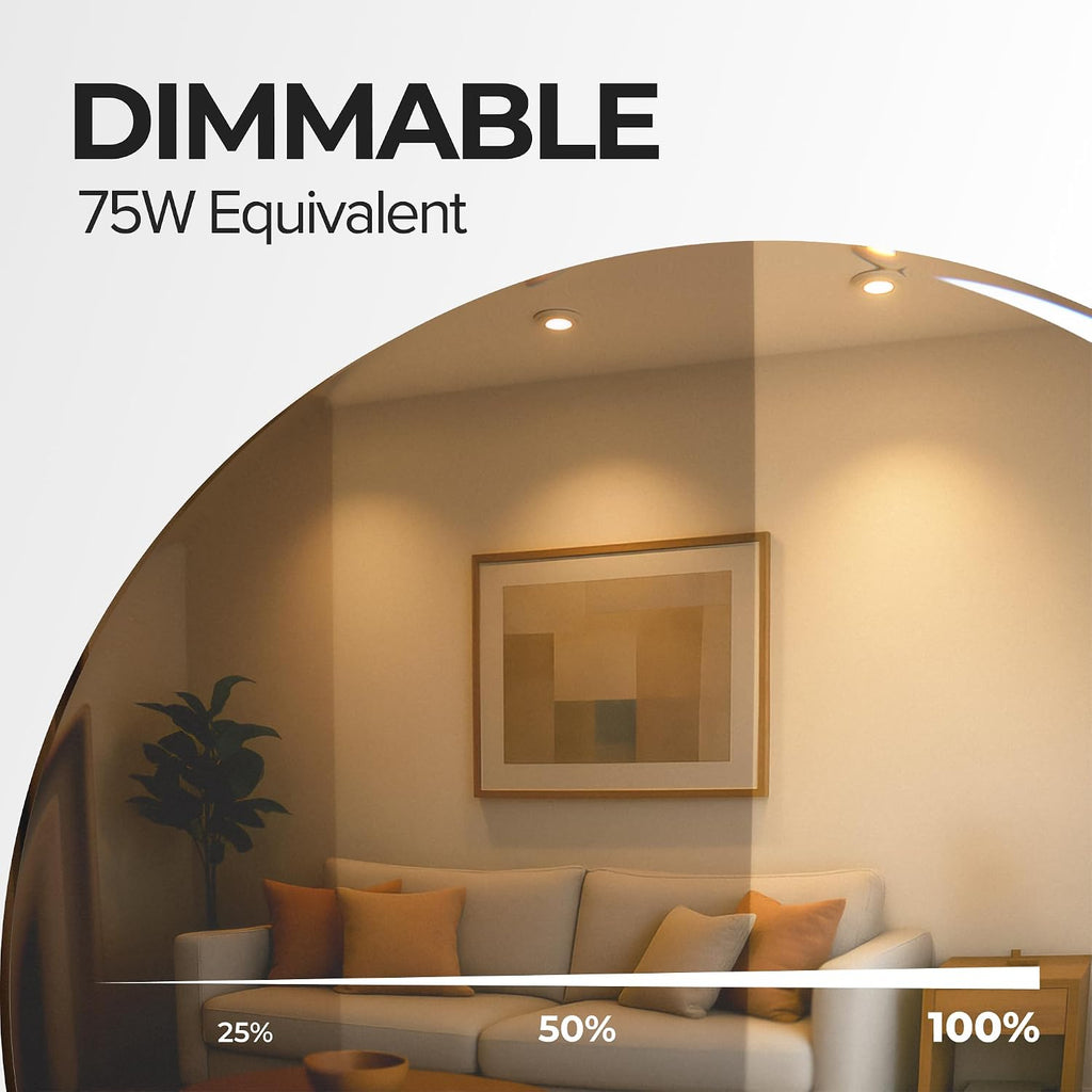 PAR30 LED Light Bulbs, 9W (75W Eqv), Dim. (2700K-5000K) - 6 Pack