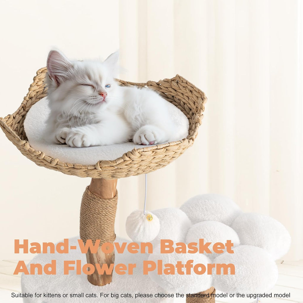 Modern Cat Tree, 26.3" Aesthetic Wood Cat Tree Tower for Small Cats