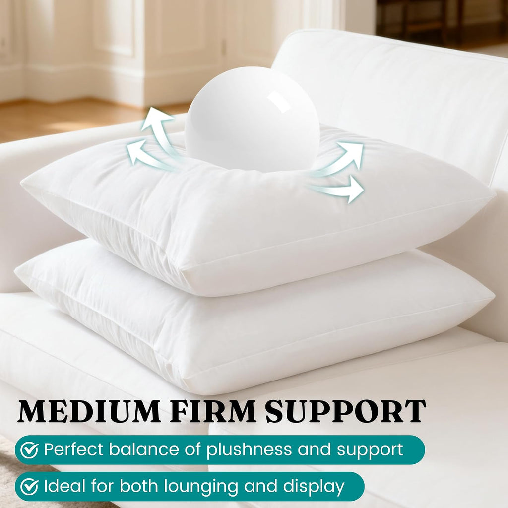 Throw Pillow Inserts, 22x22 - Set of 2