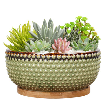8 Inch Ceramic Succulent Shallow Planter Pot with Drainage Hole and Saucer Beaded Stoneware Planter for Indoor Plants