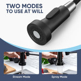 Kitchen Faucets with Pull Down Sprayer Commercial Industrial Stainless Steel Single Handle Single Hole Spring