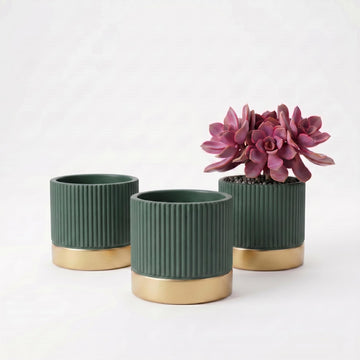 3-Pcs 4 Inch Cement Planters Set - Vintage Ribbed Flower Pots with Gold Rim and Drainage Holes, Modern Ceramic
