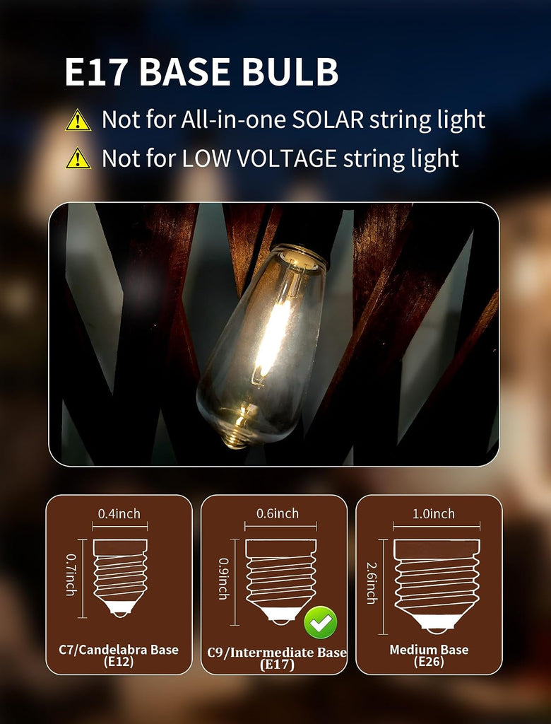 Edison E17 LED Bulbs, ST40 0.6W Shatterproof Replacement Bulbs