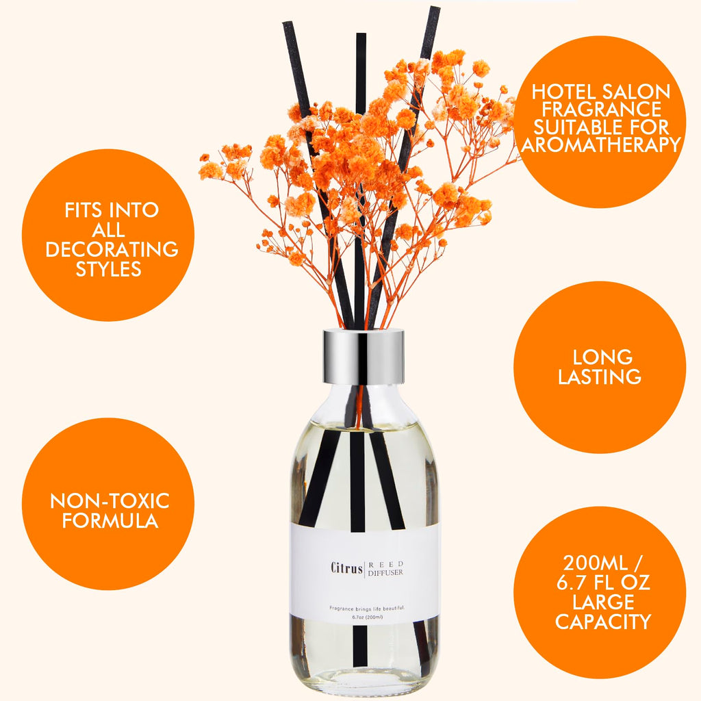 Reed Diffuser Set, 6.7 oz Citrus Scented Diffuser with Sticks, Home Fragrance Reed Diffuser Shelf Decor
