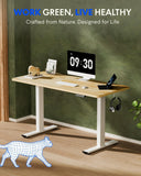 EN1 One-Piece Solid Wooden Standing Desk 55 x 24 Inches Height Adjustable Electric Sit Stand Home Office Desks (White