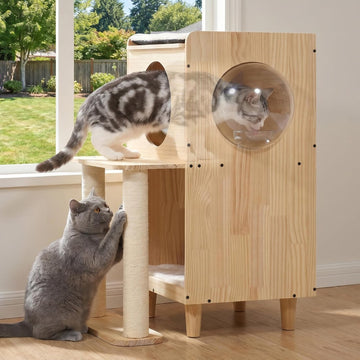 Dog Proof Cat Feeding Station Elevated Food Table with Scratch Posts