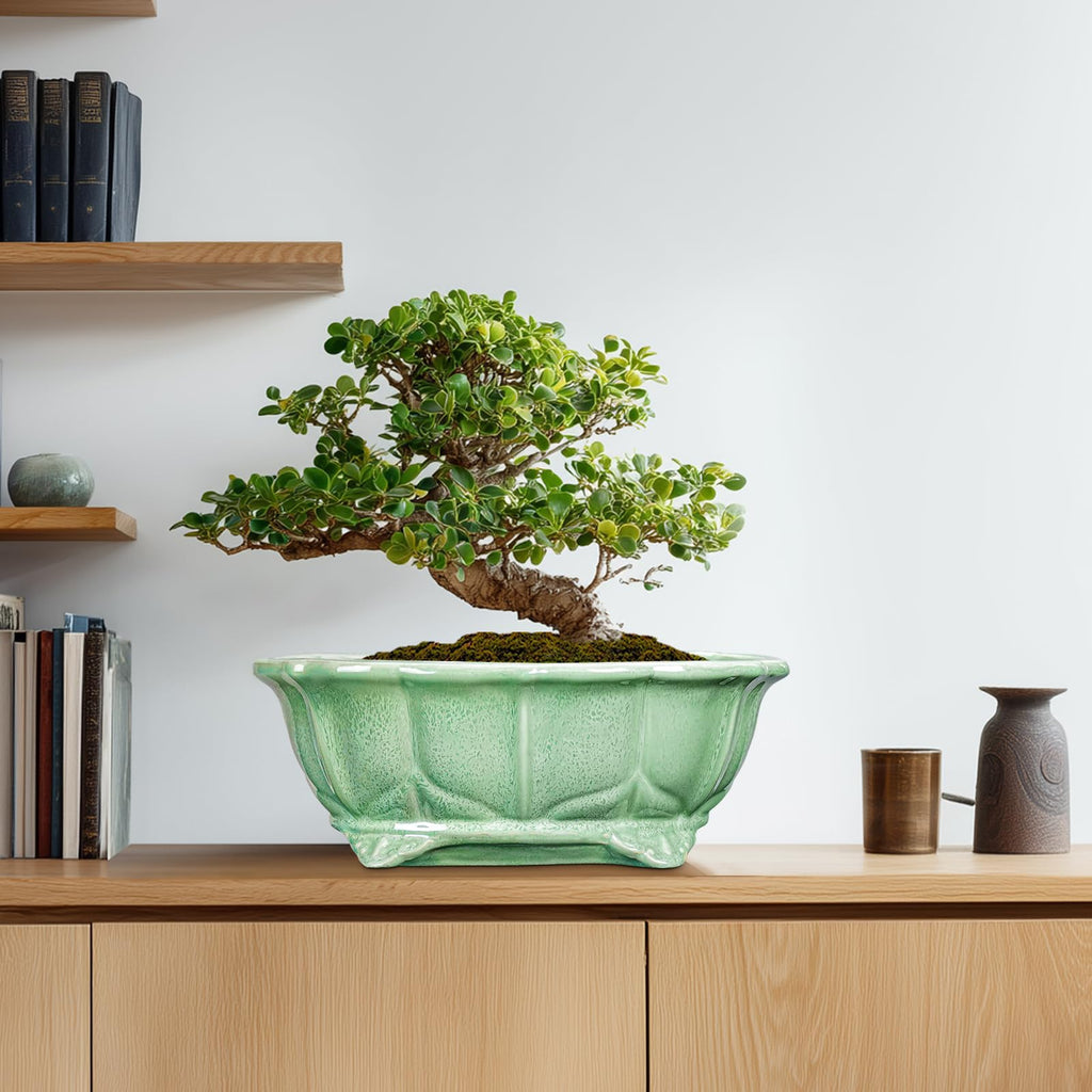 Bonsai Tree Pot - 13.2 Inch Large Ceramic Succulent Planter for Indoor Outdoor, Oval Plant Pot with Drainage Hole