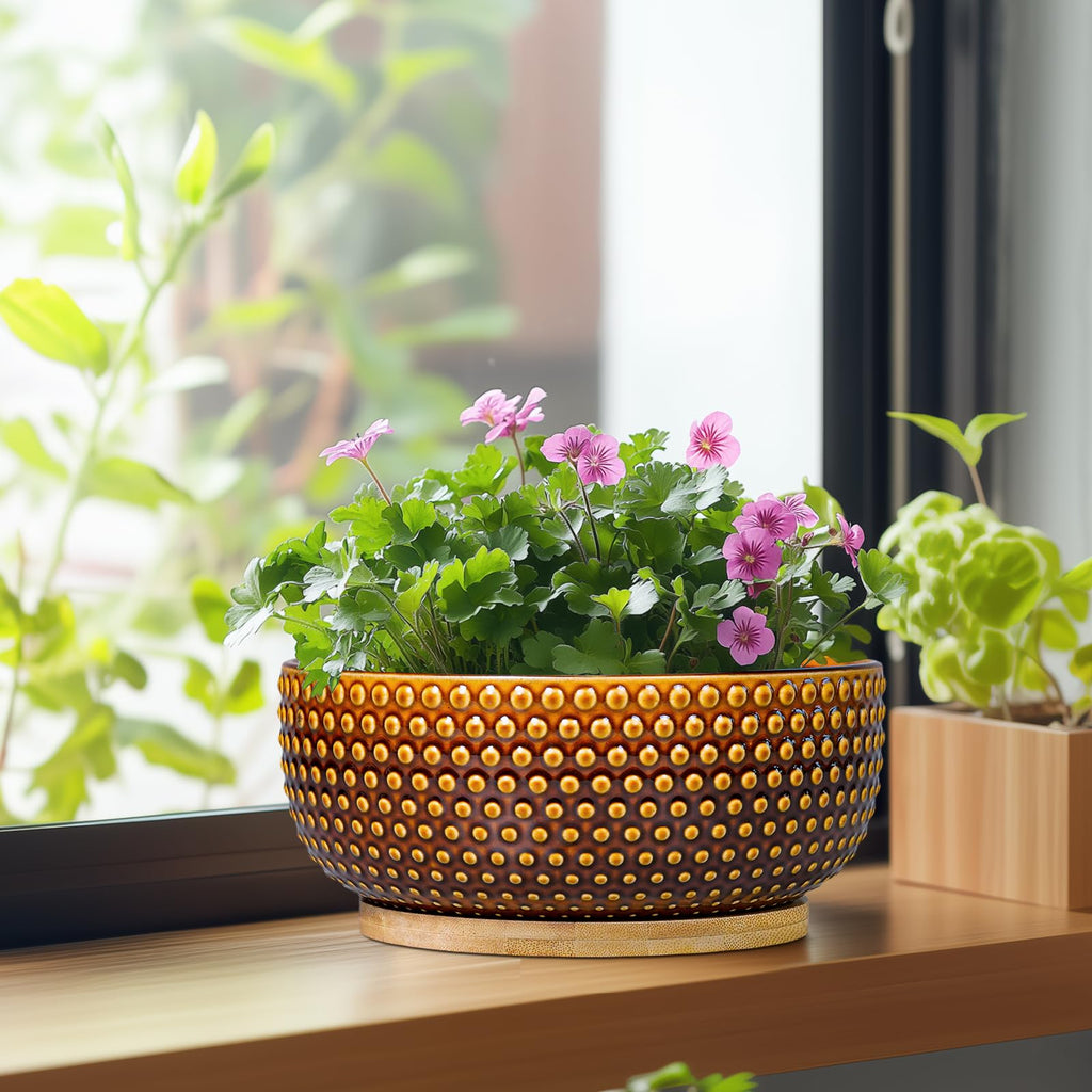 Bonsai Pots - 8 Inch Succulent Bowl for Indoor Plant, Shallow Round Ceramic Planters with Drainage Hole and Saucer