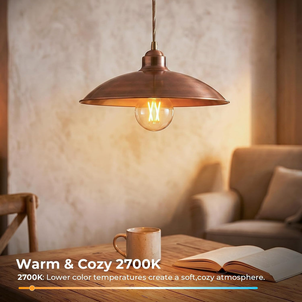E26 G16.5 Edison LED Globe Bulbs, 2700K Warm White, 40W Equivalent