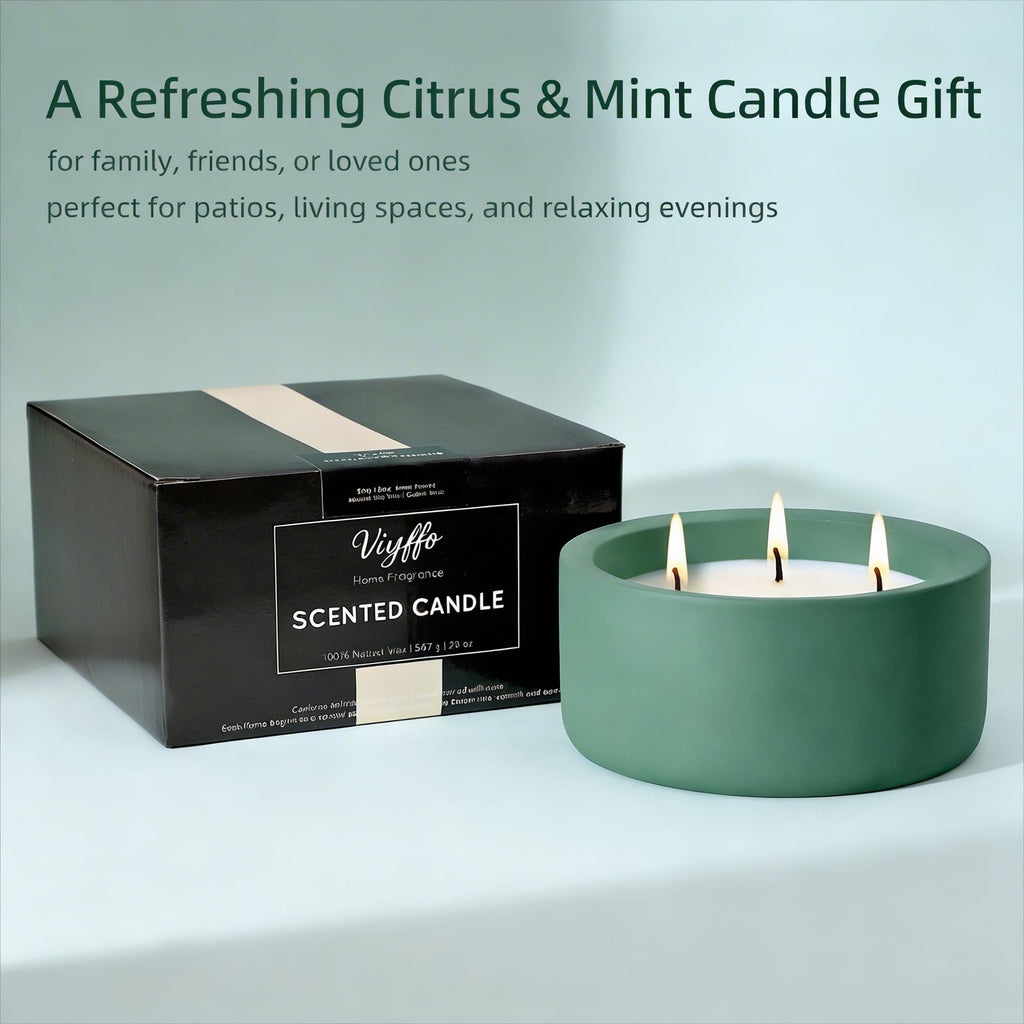 Citrus Mint Scented Candle Scented, Non Toxic Soy Candle for Women & Men, Matte Ceramic Jar Perfect Luxury Home